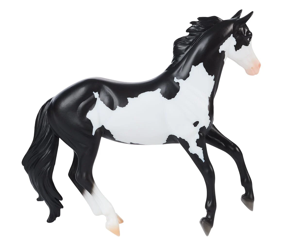 Black Frame Overo Stock Horse