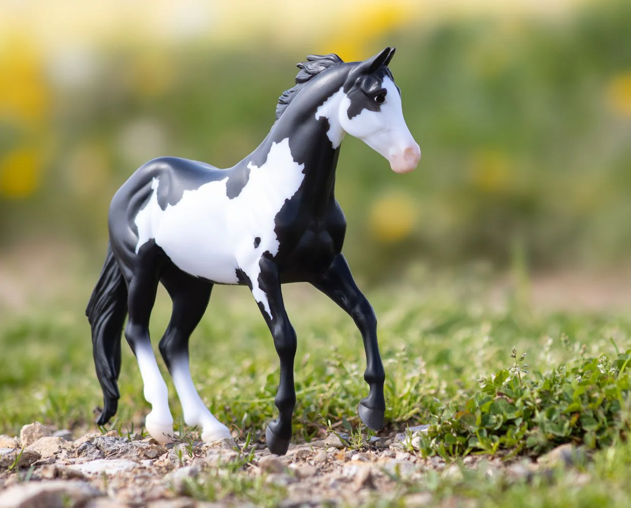 Black Frame Overo Stock Horse - Image 3