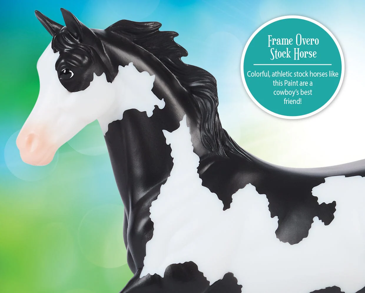 Black Frame Overo Stock Horse - Image 5